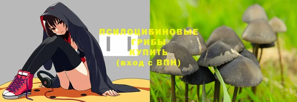 дмт Беломорск