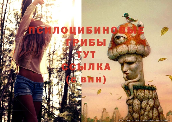 твердый Иннополис